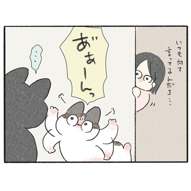 ねこはケンカ中に何を言っているの？翻訳アプリを使った結果、まさかのメンヘラ彼女化…!?【作者に聞く】