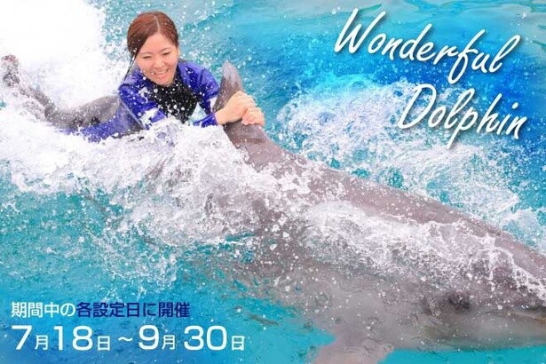 イルカにつかまって遊泳体験！鴨川シーワールドでトレーナー気分が楽しめる