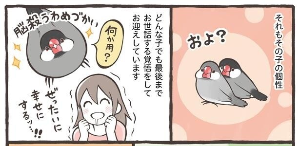 セール 貧乏にはペットを飼うな twitter