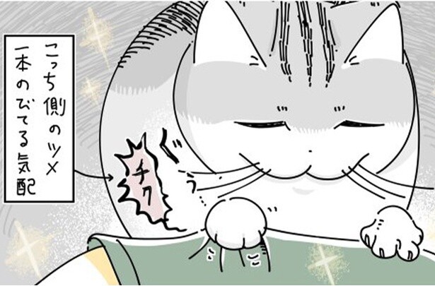 【ネコ漫画】飼い主に甘えてくる愛猫!?爪のチクチクが止まらず「わかります」と共感の声続々