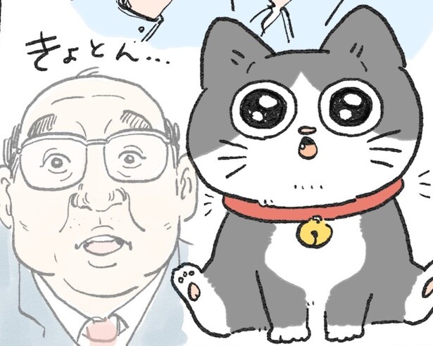 【死んだおじさん→転生先は子猫】体は子猫、中身はおじさん！そのギャップがたまらない【人気漫画紹介】