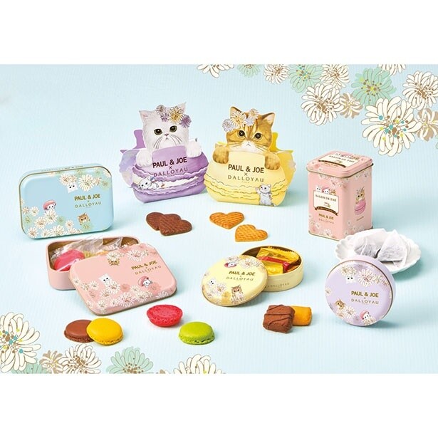 「ポール ＆ ジョー」と「ダロワイヨ」がコラボ！“にゃん”ともかわいいスイーツに悶絶必至