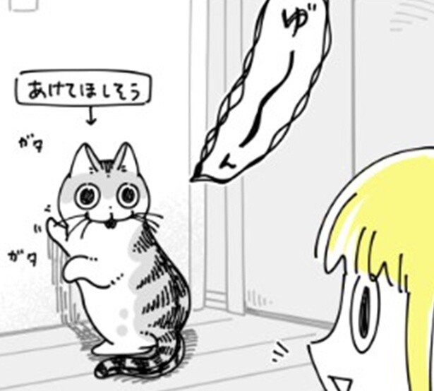 かまってほしいと扉をカリカリひっかく猫。我が家では扉を少し開けて過ごすことが新たな習慣に…!?【作者に聞いた】
