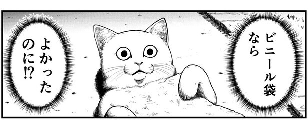 野良猫に向かって「ビニール袋ならよかったのに」!?逆転の発想に13万いいね、爆笑呼ぶ4コマに注目【作者に訊く】
