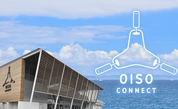 大磯港で取れたサバを使用、OISO CONNECTの「大磯フィッシュカレー」に写真映え間違いなしのカップインタイプが登場