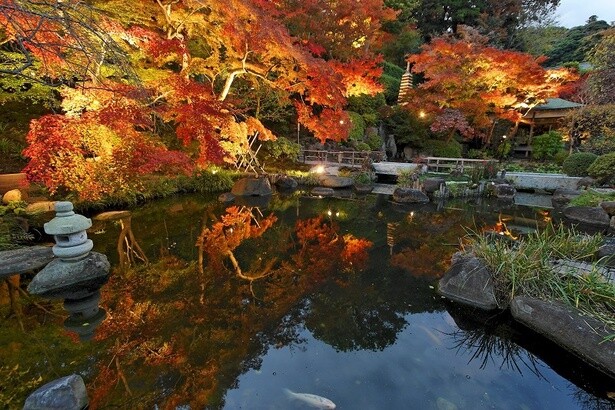 【鎌倉】名所から穴場まで！美しい紅葉が見られる鎌倉＆周辺エリアのおすすめスポット22選