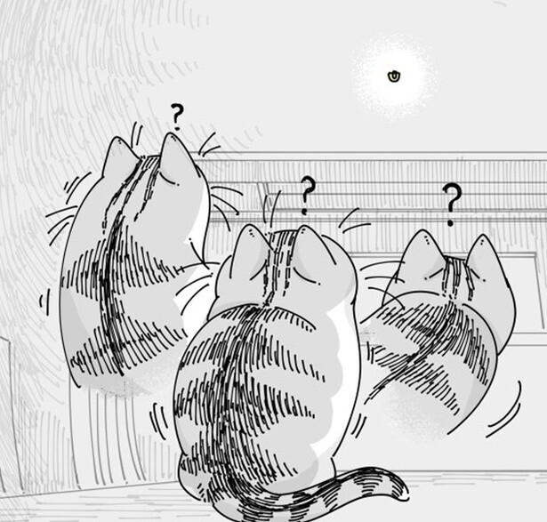 【ネコ漫画】小さな壁掛けフックが気になる猫!?その仕草が「かわいい！」とSNSで絶賛コメント続々