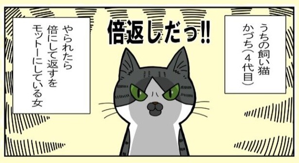 うちの猫は「倍返しの女」!!でもなでられて激オコってなんで…!?猫なりの理由があった!!【作者に聞く】
