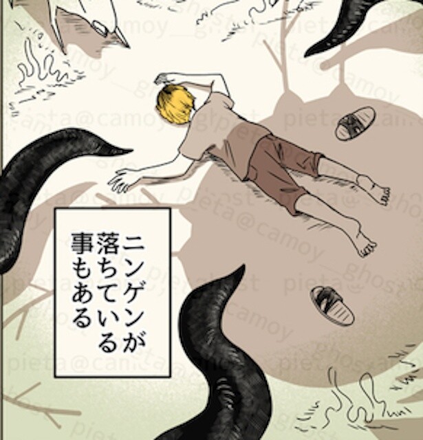 人間が保護されたら？「飼い方本」を読むと、ニンゲンはとても繊細な生き物だった【作者インタビュー】