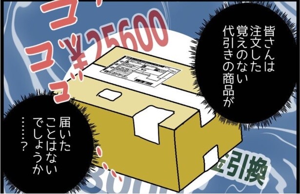 頼んでない荷物が、代引きで2万5600円!?これ噂の「送り付け詐欺」かも