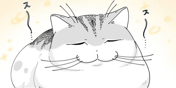 【ネコ漫画】気持ちよさそうに寝る猫の姿にSNSで「かわいい」「癒やされる」と絶賛するコメント多数