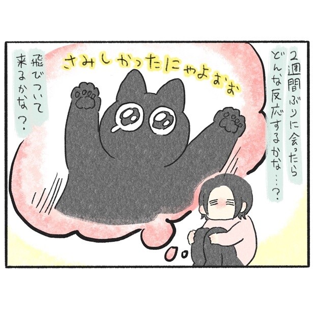 2週間ぶりに再会する愛猫は飛びついてくる？まさか忘れてる？反応にドキドキするも、思ってたのとなんか違う…!?【作者に聞く】