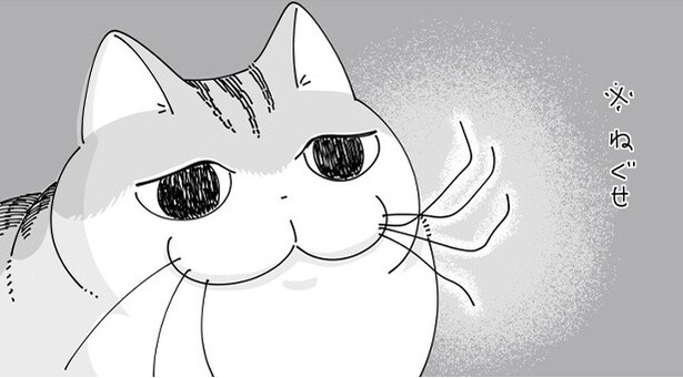 【ネコ漫画】男爵のようにヒゲがカールする猫!?寝ぐせが付いている姿にSNSで「かわいい」とのコメント続出