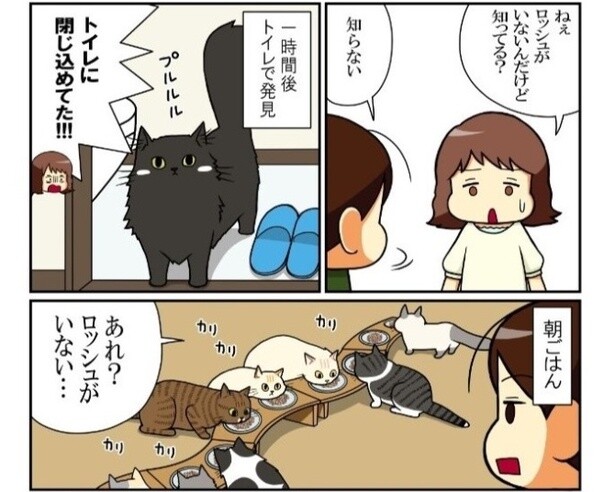 「トイレに閉じ込めてた!!」黒猫は暗闇と同化しがち!?踏まれがち＆見落とされがちな黒猫の災難を漫画化！