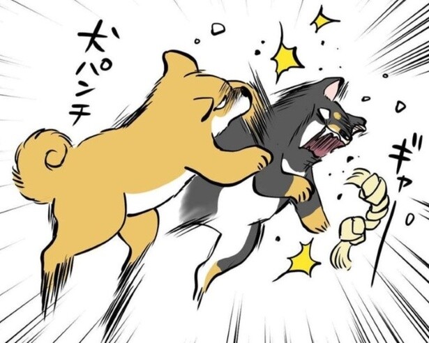 犬との生活は子育てと似てる!?「女の子は気が強いww」「うちの人間兄弟も同じ！」とコメント殺到!!「わが家の猫も～」と猫派も参戦【作者に聞く】