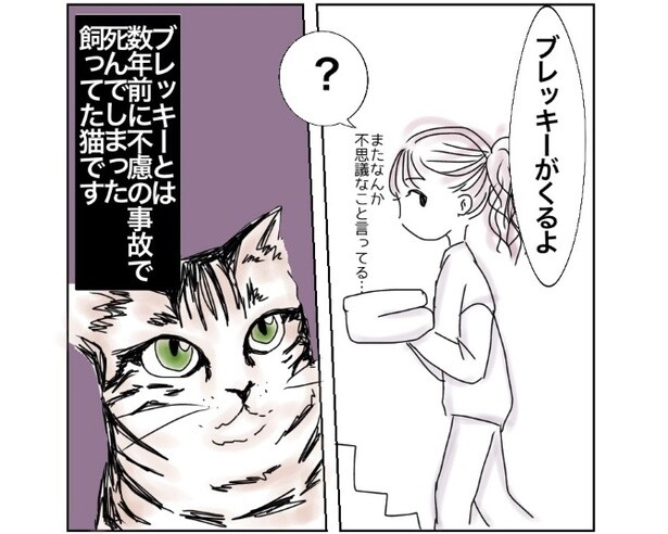 死んだ猫が会いに…!?「いないことが信じられない」そんな飼い主が体験したやさしい怪奇現象【作者に聞く】