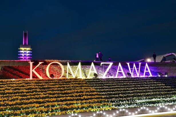 駒沢オリンピック公園で「ファンタジー」がテーマのイルミネーション「花と光のムーブメント」が開催中