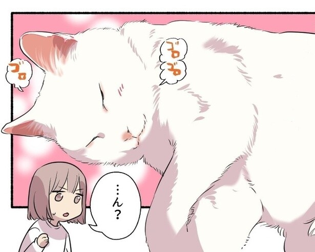 冬の猫はホカホカ!?猫飼いさんたちが共感！「うちの子はコタツでやります〜w」「我が家の猫も茹だってる」の声【作者に聞く】