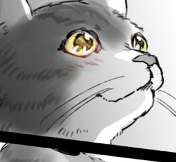 【愛猫物語】人間不信の保護猫が飼い主に愛され、愛すまでの描写が尊すぎる！「これは泣く」の声が続々【作者に聞く】