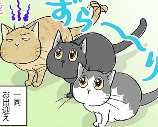 「これって浮気調査!?」帰宅したら猫たちが全員集合！ふんふんふん…嗅がれまくる理由とは？【作者に聞いた】