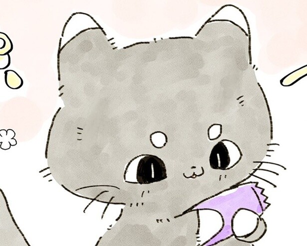 【化けギツネのちくわ】突然現れたあやしい生き物の正体はなんと…化け猫！ちくわの新しいお友だちに？【作者インタビュー】