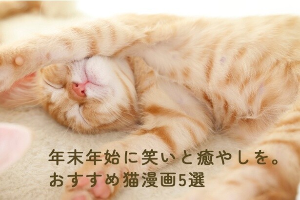 “猫あるある”がいっぱい！お正月に笑いと癒やしを。おすすめ猫漫画5選
