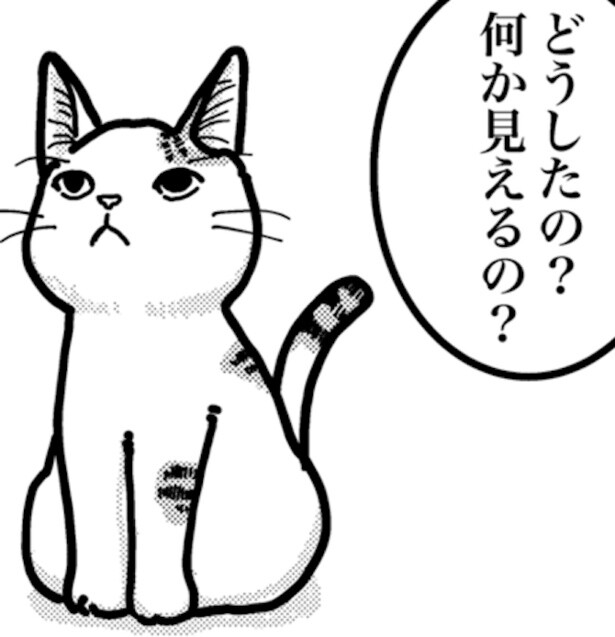 【何もないところを見つめる猫】「何か見えるの？」前任者の猫から新人猫への「引き継ぎ事項」を描いた猫漫画に涙腺ジワリ！【作者に聞く】