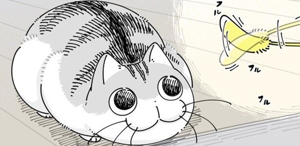 【ネコ漫画】ネコじゃらしを見つめる瞳が「かわいすぎる」!?愛猫の何気ない仕草にSNSで9.6万いいね！