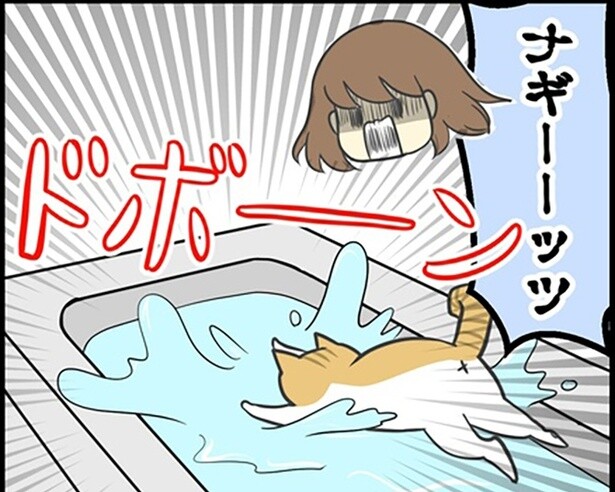 【ネコ漫画】一体何が目的？浴槽の自動お湯はり機能を楽しむ「愛猫・ナギ」の行動がエモすぎる【作者に聞く】