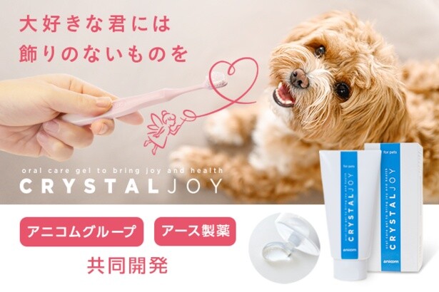 犬や猫も歯周病が原因で傷病率が上がる!?ペット専用歯みがきジェルでオーラルケアを