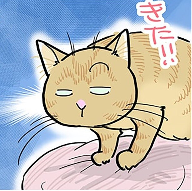 【そのとき猫が動いた】雪の日…あったかスポットに隠れていた猫たちが急に登場!!その理由とは？【作者に聞いた】