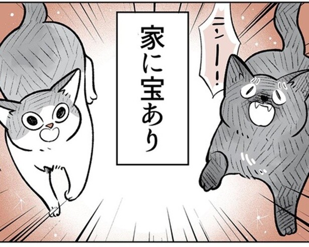 【漫画】今日も仕事を頑張れるのは猫(＝宝)のおかげ。かわいさ限界突破の2匹の兄妹猫に毎日悶絶【作者に聞く】