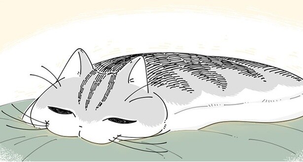 【ネコ漫画】飼い主の身体に乗ってくる愛猫!?その温もりに「天然湯たんぽ」「めっちゃわかる」とSNSで共感の声多数