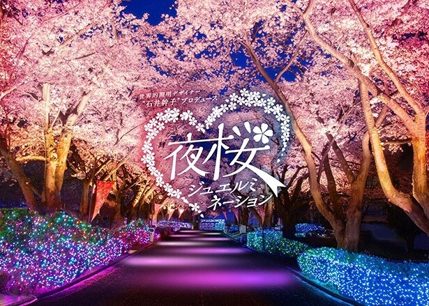 よみうりランド60周年バージョンの「夜桜ジュエルミネーション」が3月19日から開催！HANA・BIYORIでは温泉に浸かったあとのお花見も