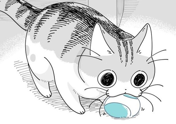 【ネコ漫画】変わったボールの遊び方をする愛猫!?お気に召した様子にSNSで9万超えいいねの反響！
