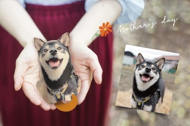 愛犬や愛猫の写真で作る、世界でひとつの本革キーケースに癒やされる！4月15日まで「母の日割」1000円オフも実施中