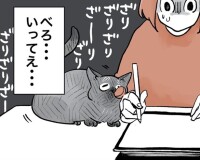 【漫画】フミフミもザラザラ舌も小さい爪も痛すぎる!?かわいいと痛いを兼ね備える猫の魅力に悶絶【作者に聞く】