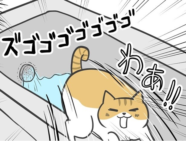 【ネコ漫画】お湯張りをすると浴槽まで愛猫が猛ダッシュ!?お湯が出るギリギリを攻めていると予想外の事件が…【作者インタビュー】