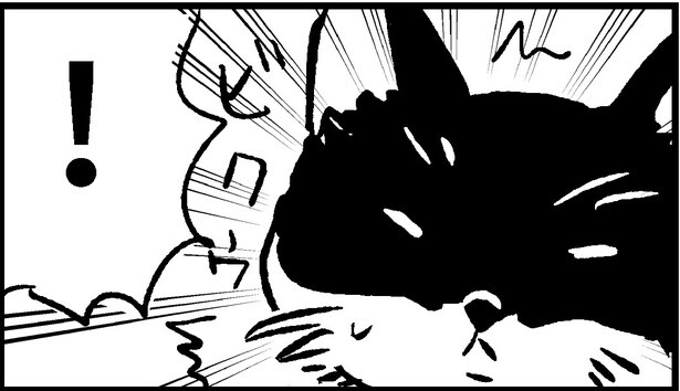 【ホラー漫画】優しい愛猫が激怒、怒りの矛先は飼い主に憑いた「何か」かも!?動物の直感を感じさせる少しホラーな体験談【作者に訊く】