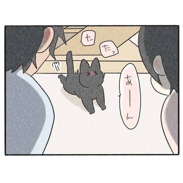 【ネコ漫画】これがあれば“愛猫”のお留守番もへっちゃら 「おともだち」と一緒に眠る愛猫に胸キュン！【作者インタビュー】 コラム 緑のgoo