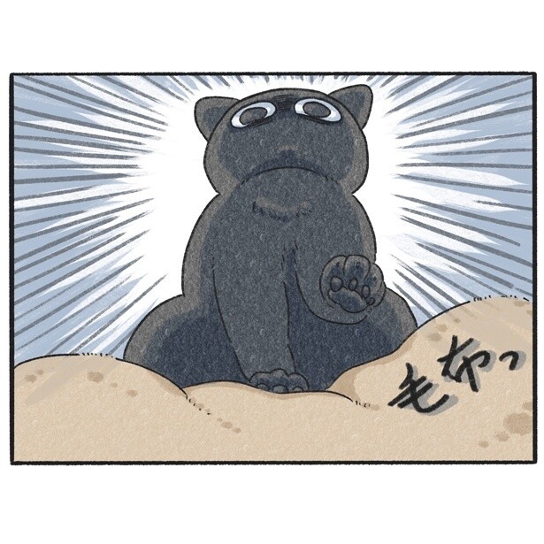 【ネコ漫画】布団よりも毛布が好き！テンション爆上げで毛布をもみもみする姿にかわいすぎると共感の声続々！