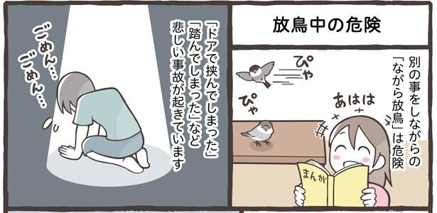 「散歩をしなくていい」「しつけがいらない」鳥さんはペットとして飼いやすい？暮らしの中に潜む鳥さんにとっての危険【作者に聞く】