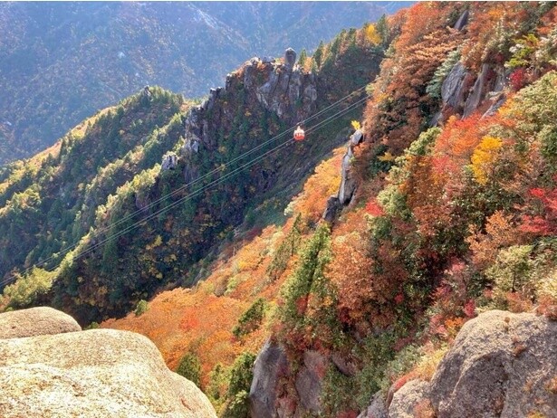 絶景の紅葉をスニーカーで！三重・御在所岳【見頃｜10月中旬〜11月下旬】