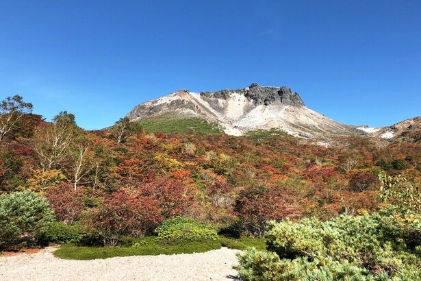 今週末(10月19日・20日)の紅葉見頃はここ！まもなく見頃を迎えそうな全国の紅葉名所ガイド