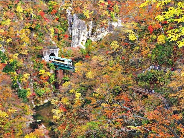 三連休(11月2～4日)の紅葉見頃はここ！まもなく見頃を迎えそうな全国の紅葉名所ガイド