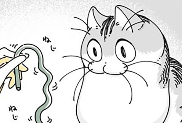 【ネコ漫画】ウネウネ動く長いひもに興味津々な愛猫!?その姿に「表情がかわいすぎる」などコメントが殺到！