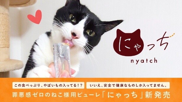 愛猫も喜ぶ！無添加・100％天然由来・低塩分で罪悪感ゼロの猫用ピューレ「にゃっち」が新発売