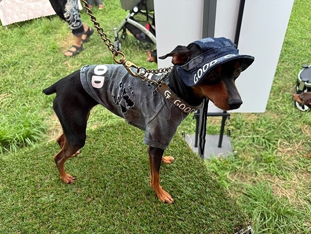 犬用アパレルブランド「MEATSHOP GOOD」が、ヴィンテージアメリカンの世界が広がる実店舗をオープン！