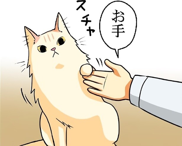 【ねこ漫画】「お手」をする猫がかわいすぎ!!「お手」と「お座り」をどうやって教えたのか飼い主に聞いてみた！