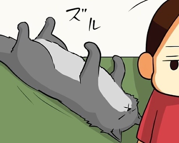 【ねこ漫画】猫が真っ逆さまに落ちてきた!?「こんな落とし物なら拾いたい！」かわいすぎる落下物とは？【作者に聞く】